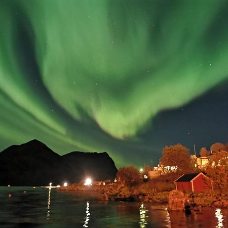 Ferrytale, Cozy, Spacious House On Senja Gryllefjord Exterior foto